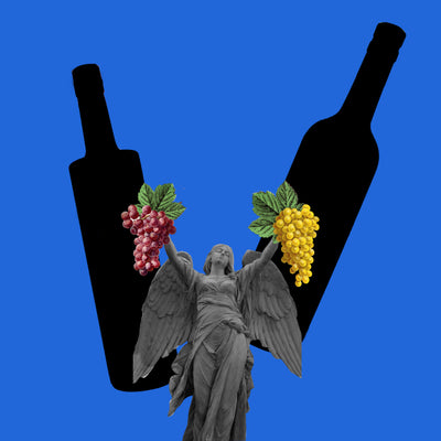 Suscripción 6 meses