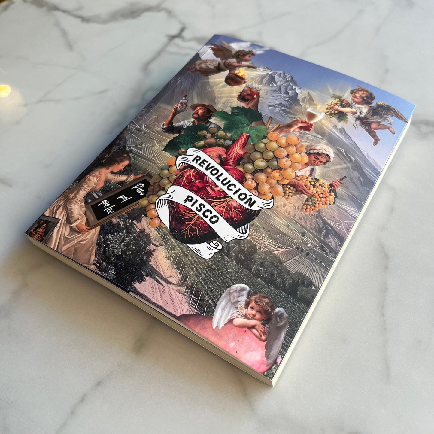 Libro Revolución Pisco